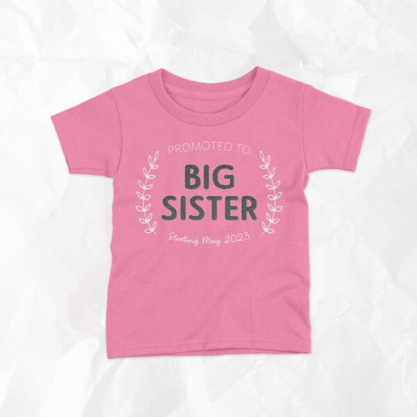 Promoted to Big Sister with Starting Date - Image 5
