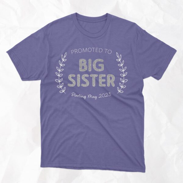 Promoted to Big Sister with Starting Date - Image 2